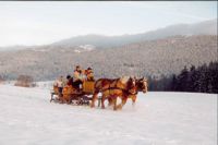 Centre équestre Tinguely Ski Joering. Publié le 20/12/11. Les Rousses
